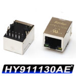 HY911130AE RJ45 Ethernet Network Connector Module